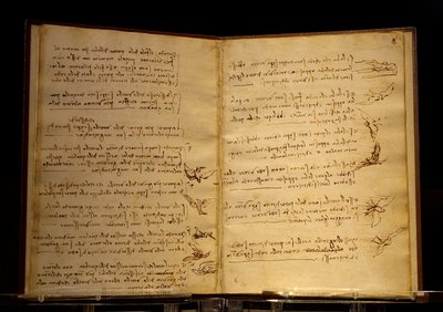 Codice del Volo degli Uccelli da Leonardo da Vinci